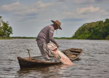 Foto: Rodolfo Pongelupe