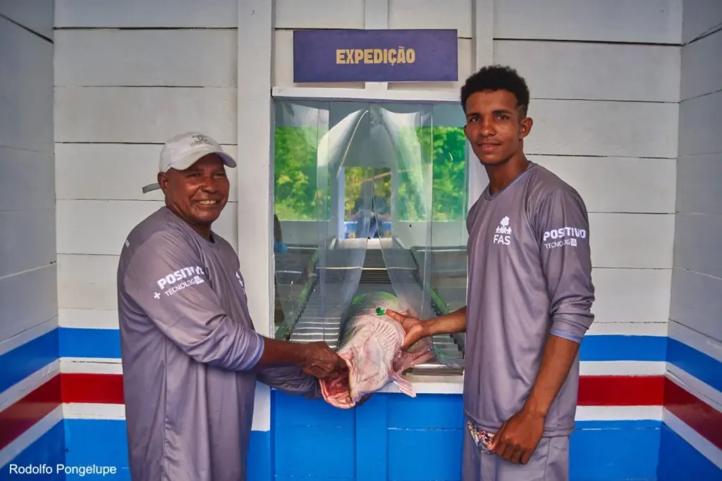 Pirarucu agora tem “CPF digital” e abre caminho para novos mercados