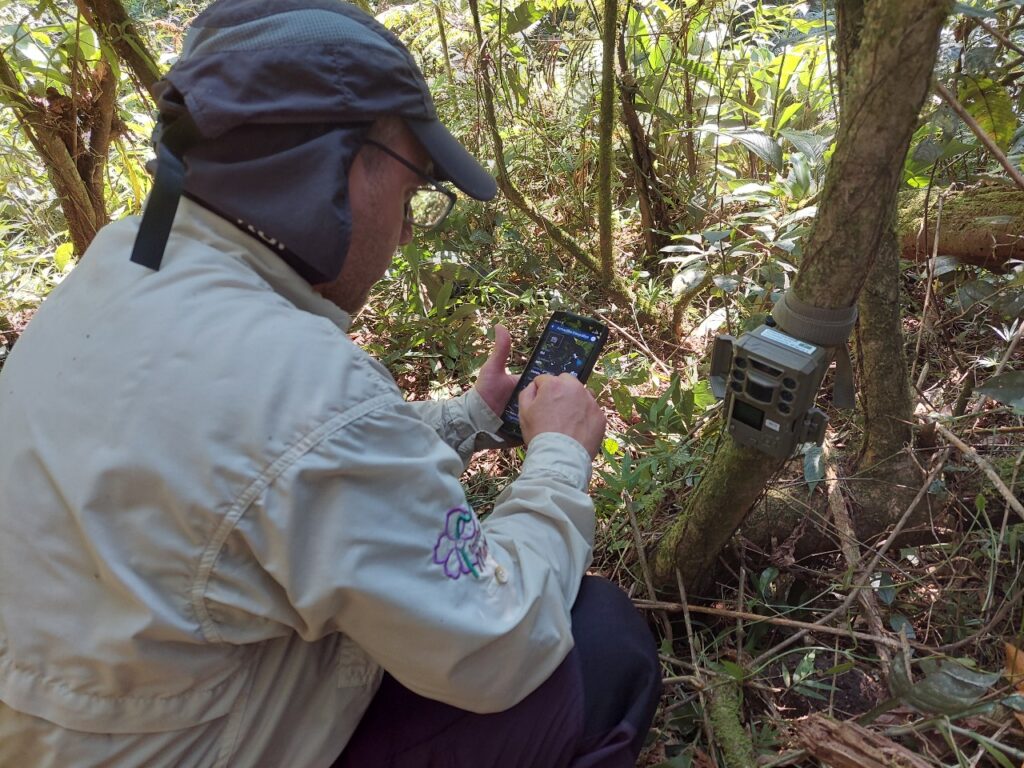 Biodiversidade do litoral do Paraná ganha reforço na luta contra a extinção