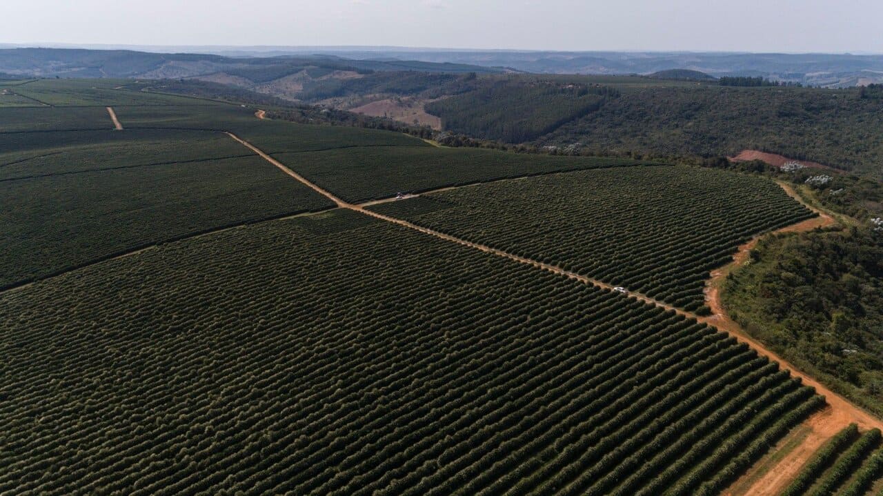 Cafés do Vale do Jequitinhonha ganham destaque por qualidade e tradição