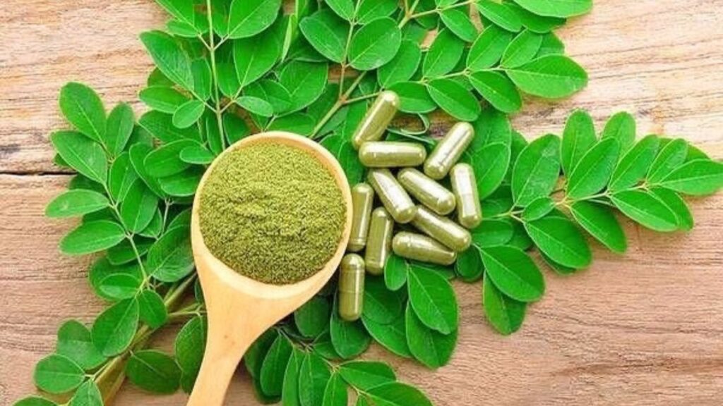 Acácia-branca: conheça a planta conhecida como “farmácia em forma de árvore”