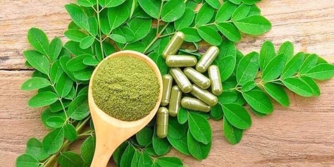 Acácia-branca: conheça a planta conhecida como “farmácia em forma de árvore”