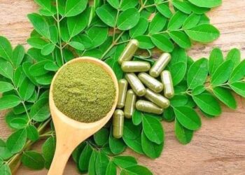 Acácia-branca: conheça a planta conhecida como “farmácia em forma de árvore”