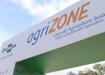 Foto: Embrapa Amazônia oriental