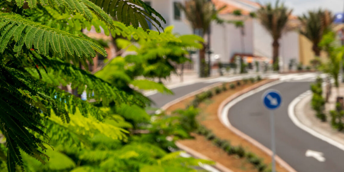 Planejamento verde para cidades resilientes