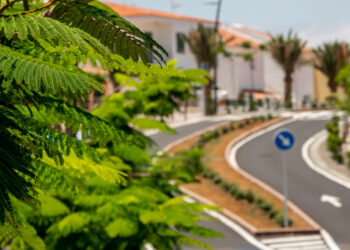 Planejamento verde para cidades resilientes