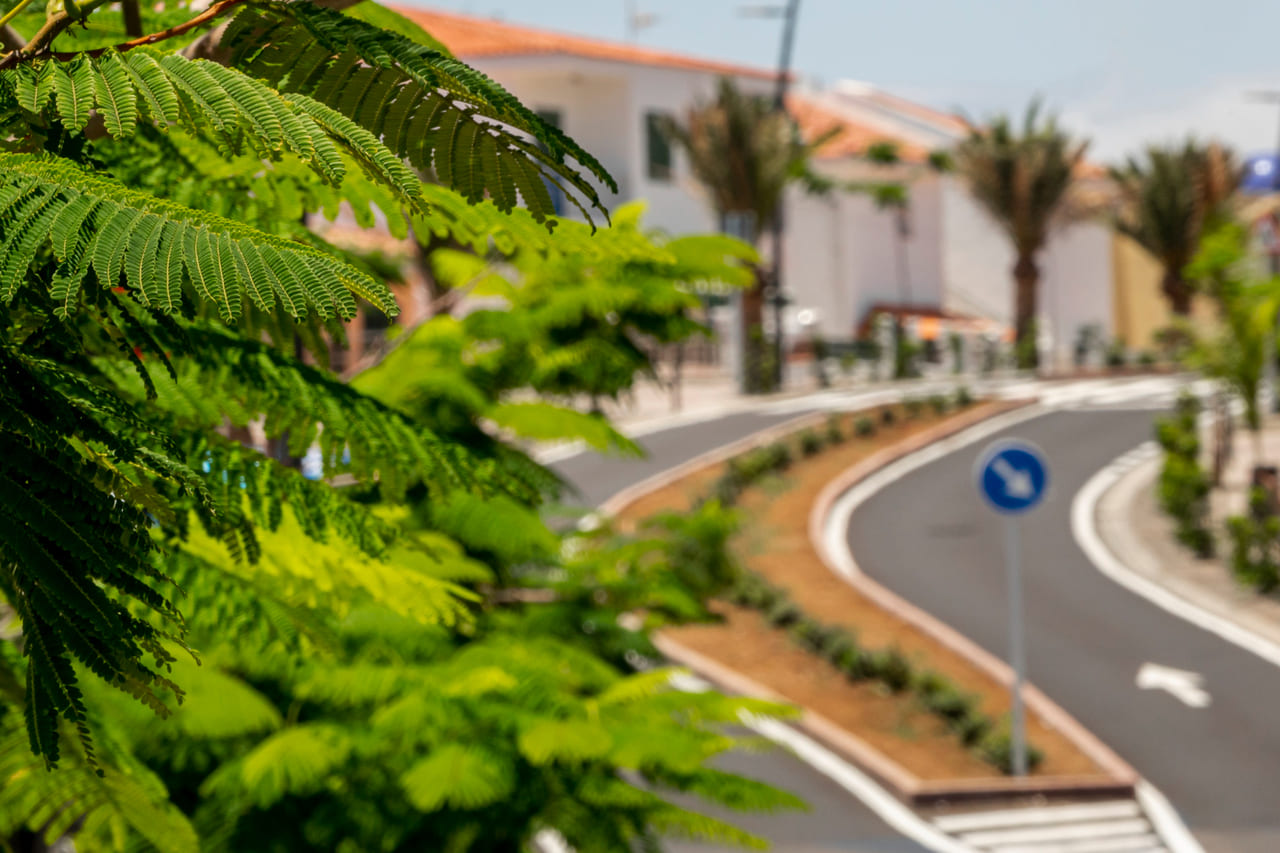 Planejamento verde para cidades resilientes