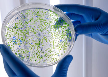 Ciência jovem e bioplástico: soluções brasileiras contra a poluição dos mares