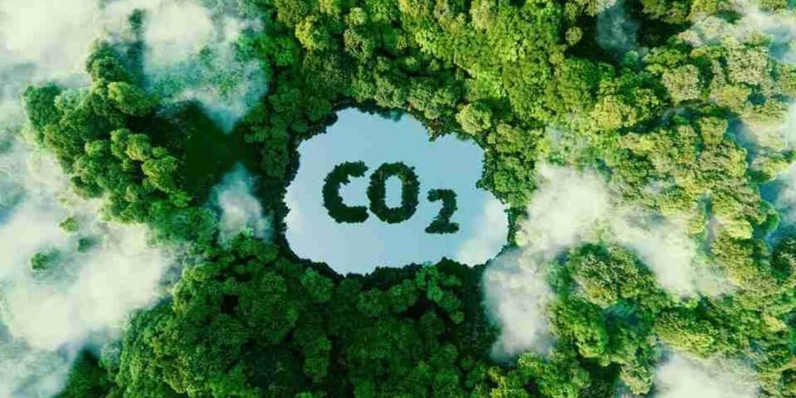 Agricultura familiar na Amazônia vira protagonista da economia de baixo carbono