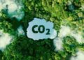 Agricultura familiar na Amazônia vira protagonista da economia de baixo carbono