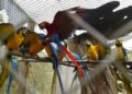 Foto: Denis Ferreira Netto/SEDEST-PR
