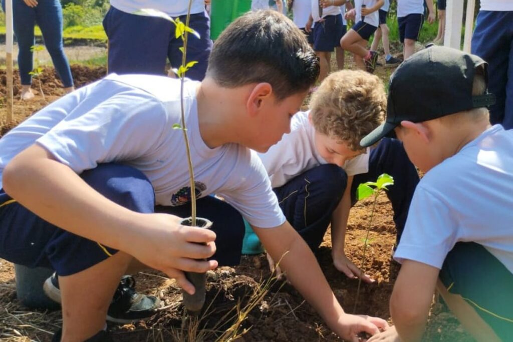 Campanha do IAT promove doações no Dia das Crianças e troca por mudas nativas
