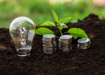 Governo lança novo leilão do Eco Invest Brasil com proteção cambial inédita