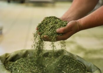 Foto: José Fernando Ogura/Arquivo AEN