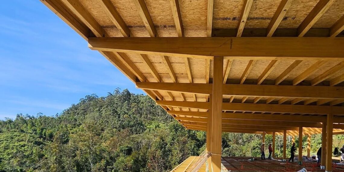 Tecpar avança na criação da primeira certificação brasileira para madeira engenheirada