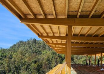 Tecpar avança na criação da primeira certificação brasileira para madeira engenheirada