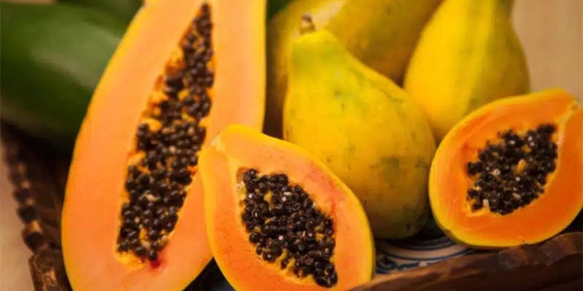 Mamão havaí ganha espaço nos mercados com alta do preço do formosa