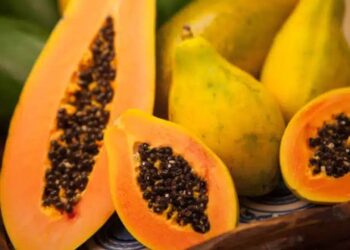 Mamão havaí ganha espaço nos mercados com alta do preço do formosa