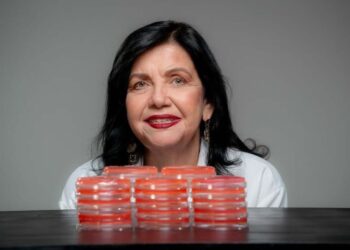 Foto: Antonio Neto/arquivo Embrapa