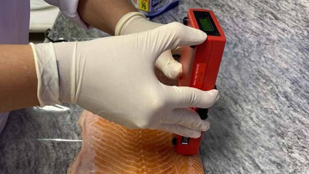 Alternativas ao peixe ganham precisão com novo catálogo sensorial da Embrapa