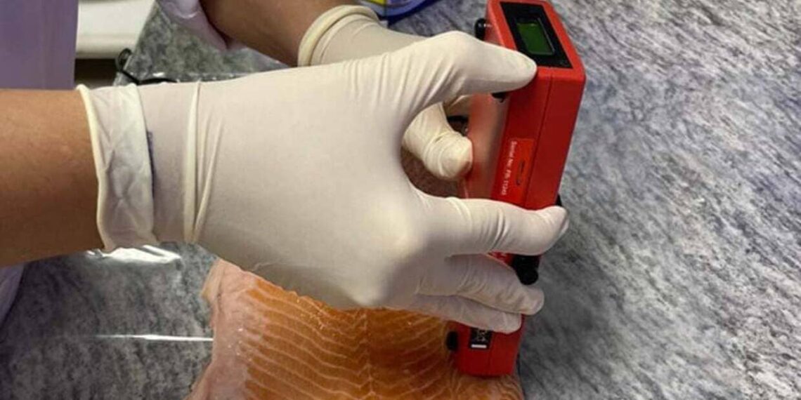 Foto: Fabíola Fogaça/Embrapa