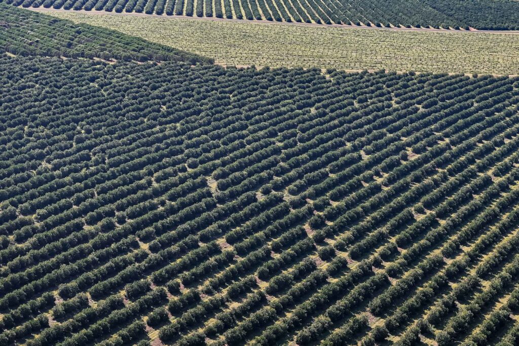 Paraná assume protagonismo nacional em recursos para agriculturSubtítulo: