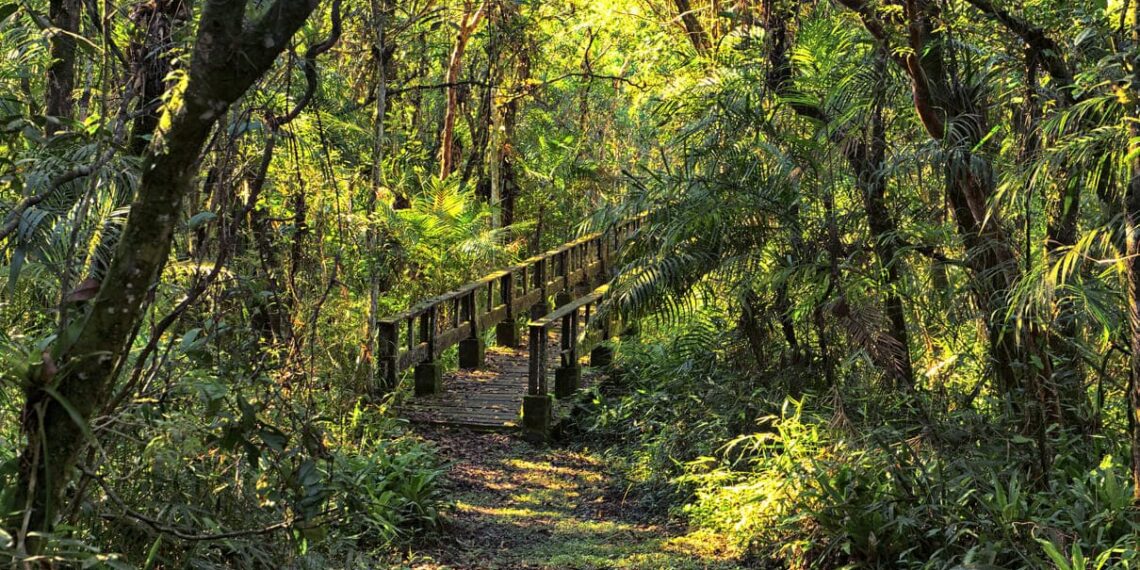 Foto: Denis Ferreira Netto/SEDEST-PR