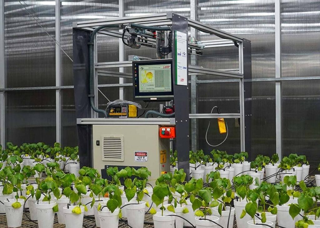 LumiBot: o robô brasileiro que detecta doenças invisíveis no campo