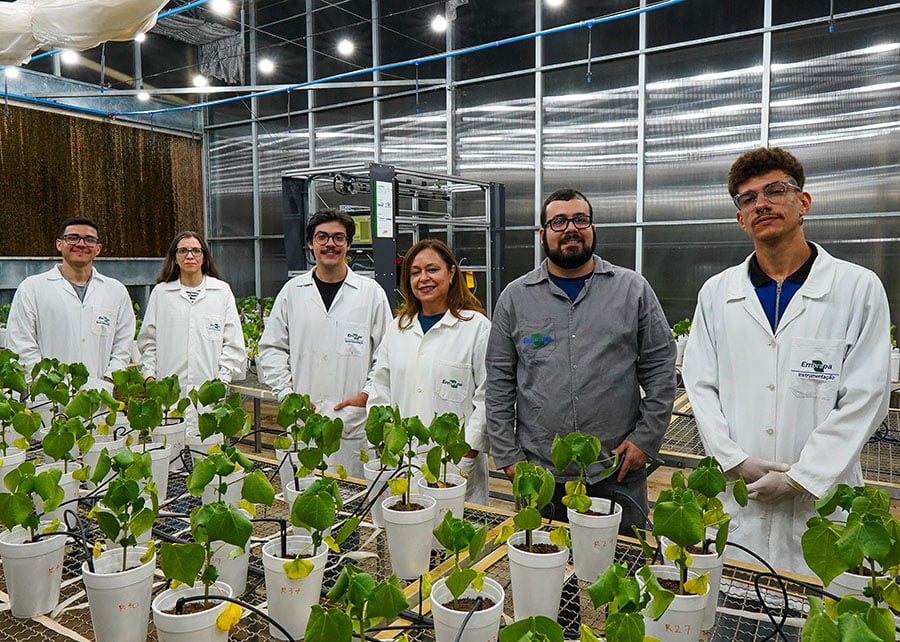 LumiBot: o robô brasileiro que detecta doenças invisíveis no campo