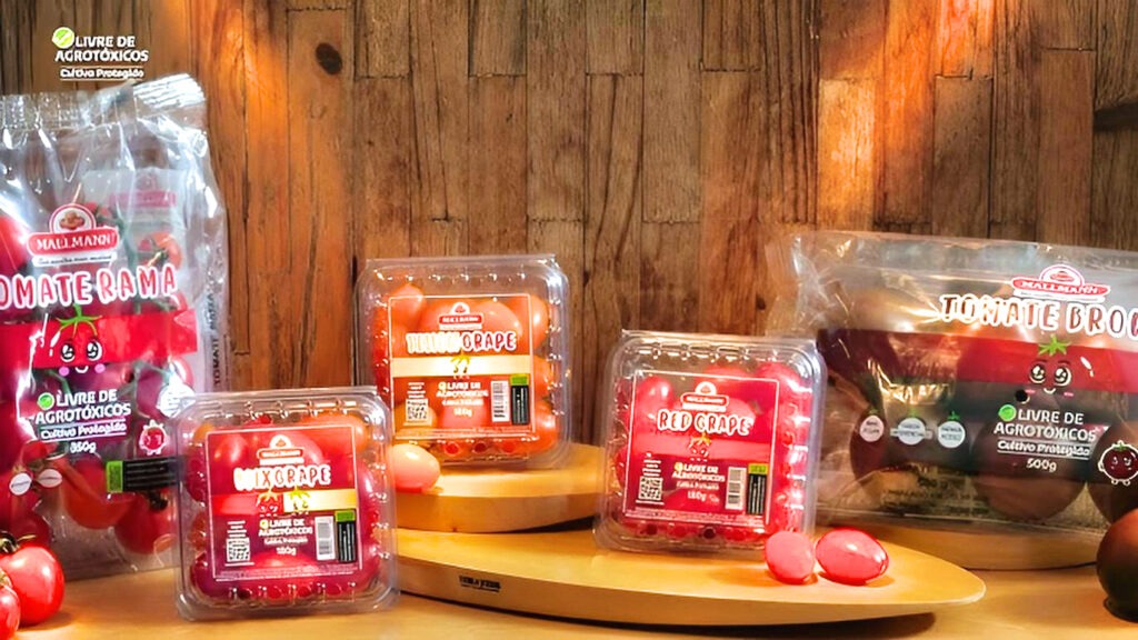 Produtor de tomate compartilha embalagens retornáveis com redes varejistas e ganha eficiência operacional