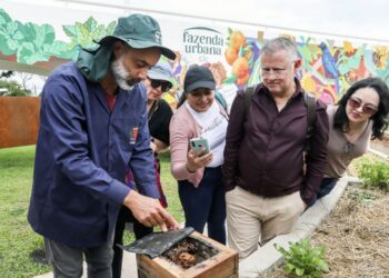 Foto: Ricardo Marajó/SMCS