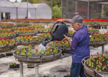 Foto: Isabella Mayer/SECOM