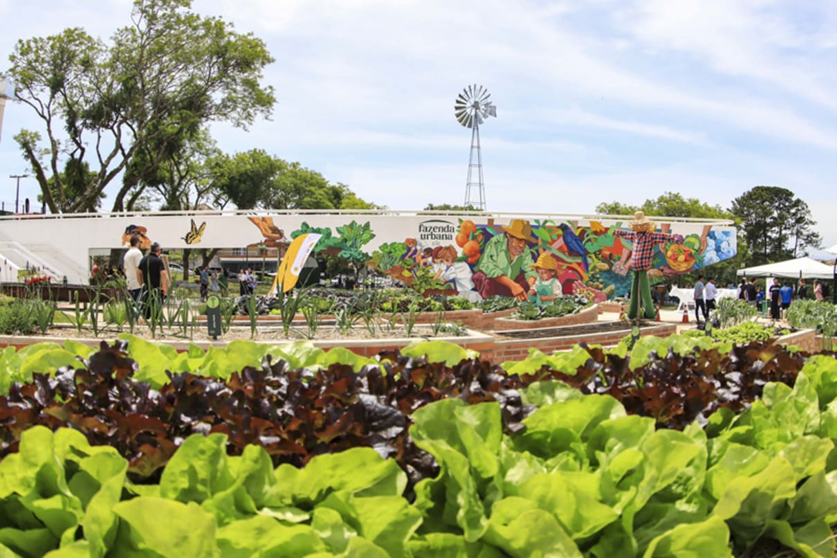 Curitiba se destaca na ONU por projeto exemplar de agricultura urbana