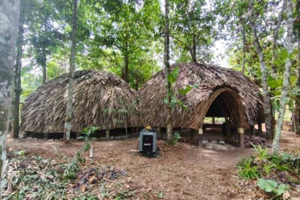 Durante a COP30, Casa da Floresta transforma conhecimento em vivência na Amazônia