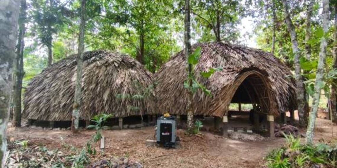 Imagem da Casa da Floresta, organizado pela Unesp em parceria com o Instituto Peabiru, durante a COP30, em Belém. Crédito: Franklin Salvador/Instituto Peabiru.