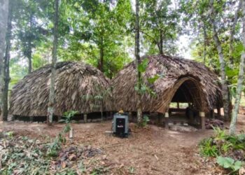 Imagem da Casa da Floresta, organizado pela Unesp em parceria com o Instituto Peabiru, durante a COP30, em Belém. Crédito: Franklin Salvador/Instituto Peabiru.