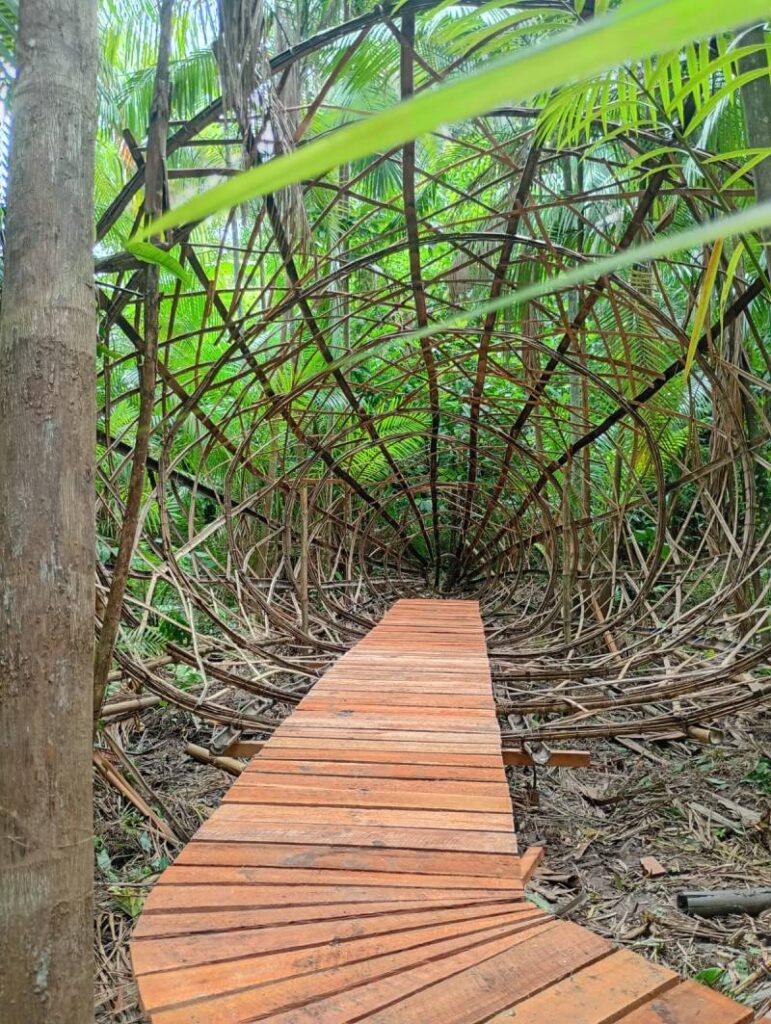 Durante a COP30, Casa da Floresta transforma conhecimento em vivência na Amazônia