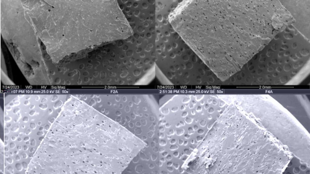 Hidrogéis biodegradáveis prometem mais resistência à seca na agricultura e no reflorestamento