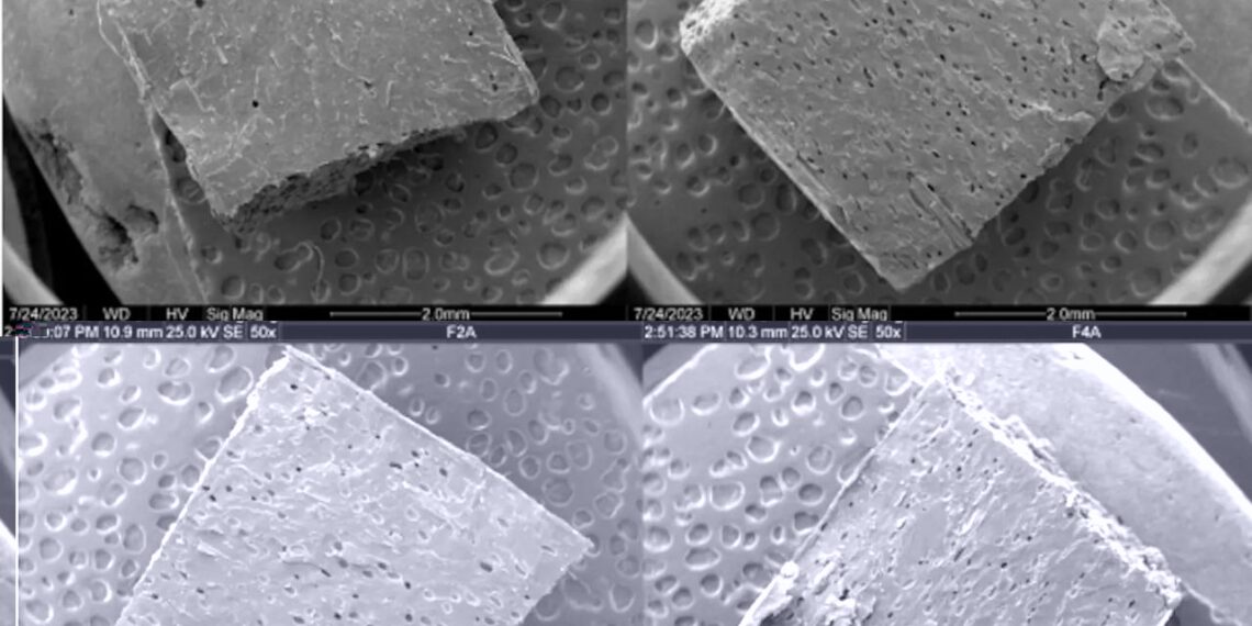 Foto: The Conversation