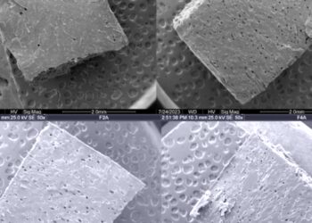 Foto: The Conversation