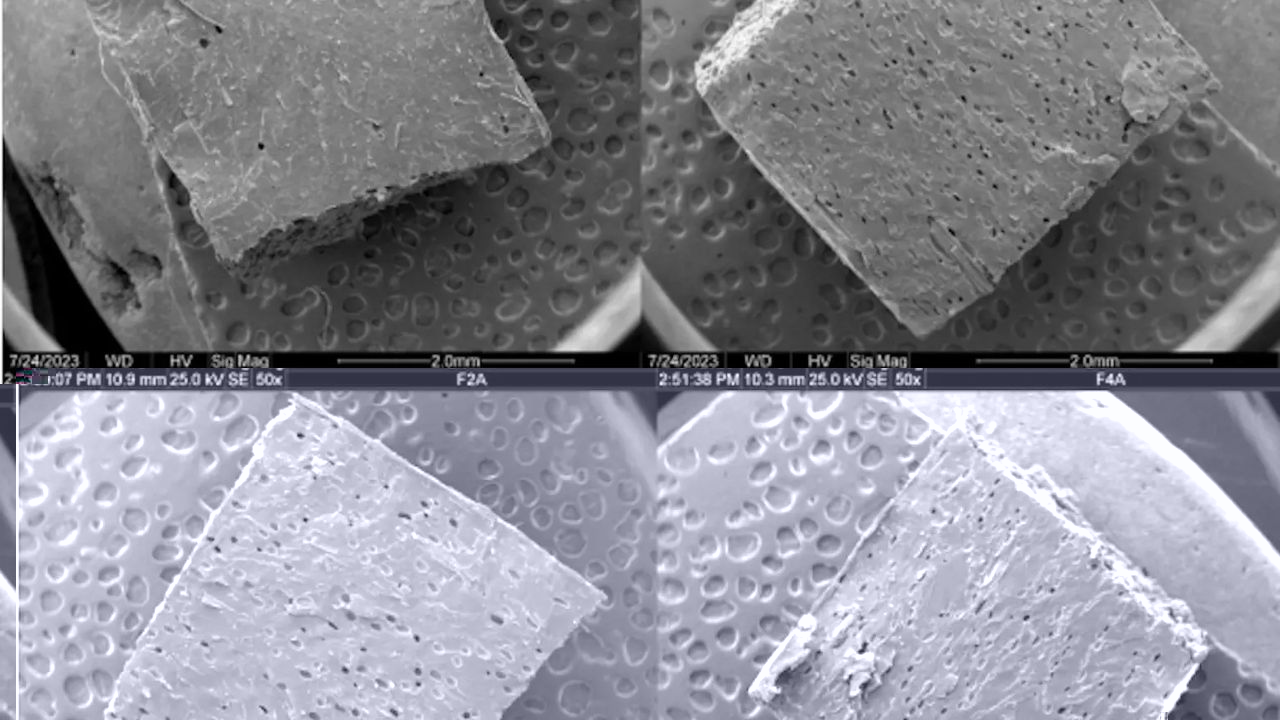 Hidrogéis biodegradáveis prometem mais resistência à seca na agricultura e no reflorestamento