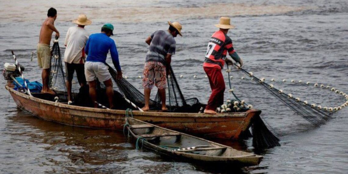Divulgação/Ministério da Agricultura e Pecuária