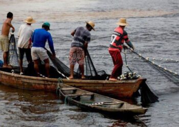 Divulgação/Ministério da Agricultura e Pecuária