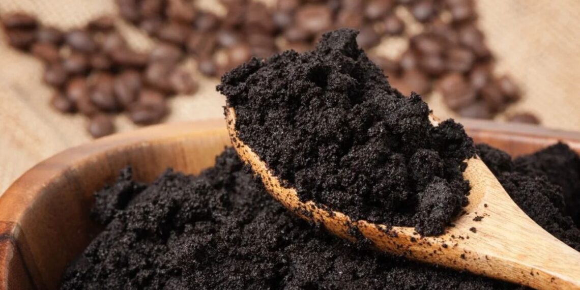 Borra de café vira biomassa: startup brasileira transforma resíduo em energia limpa e ajuda a reduzir emissões