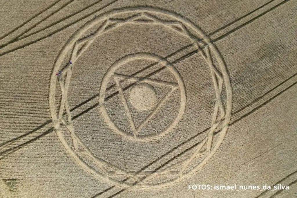 Círculos misteriosos ressurgem em plantação de trigo no interior de Santa Catarina