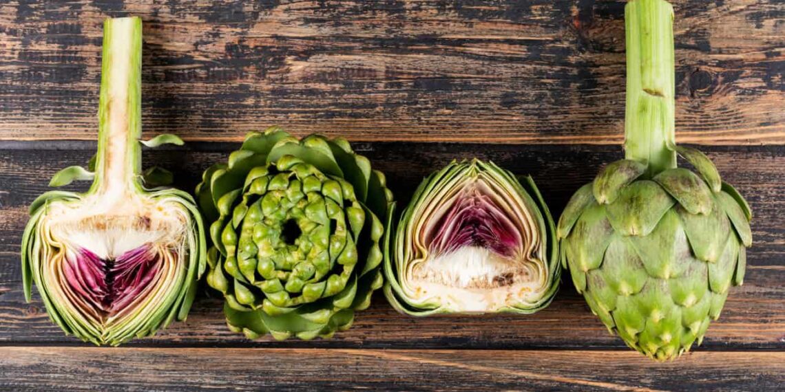 Piedade, a terra da alcachofra: tradição, sabor e cultivo que move o Brasil