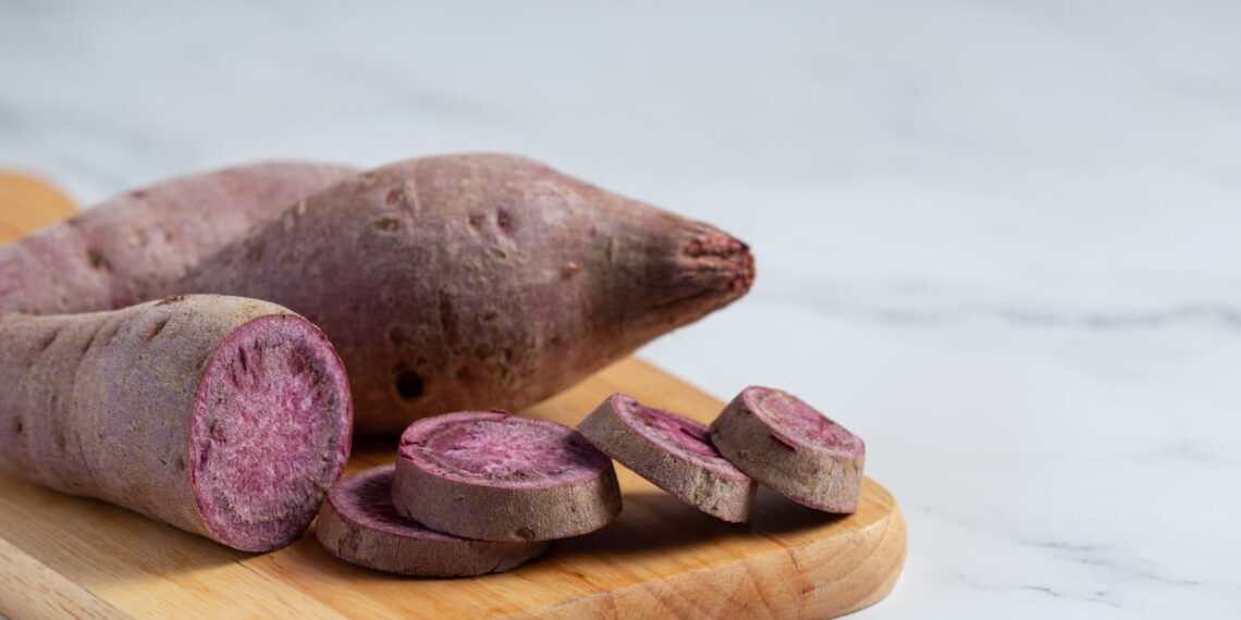 Batata-doce em nova safra de oportunidades em Presidente Prudente