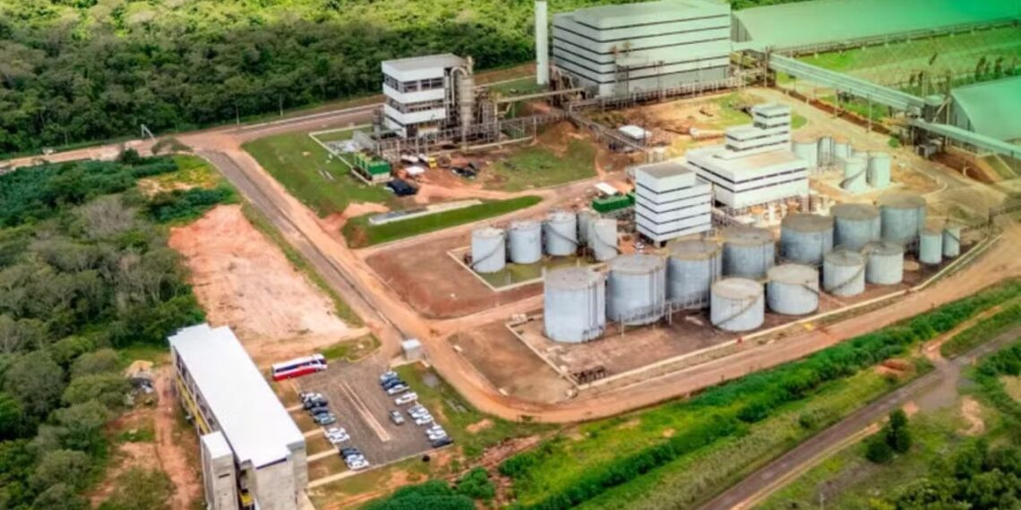 Fênix Biodiesel/Reprodução