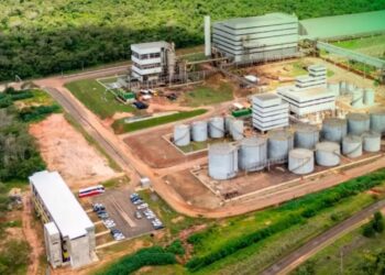 Fênix Biodiesel/Reprodução