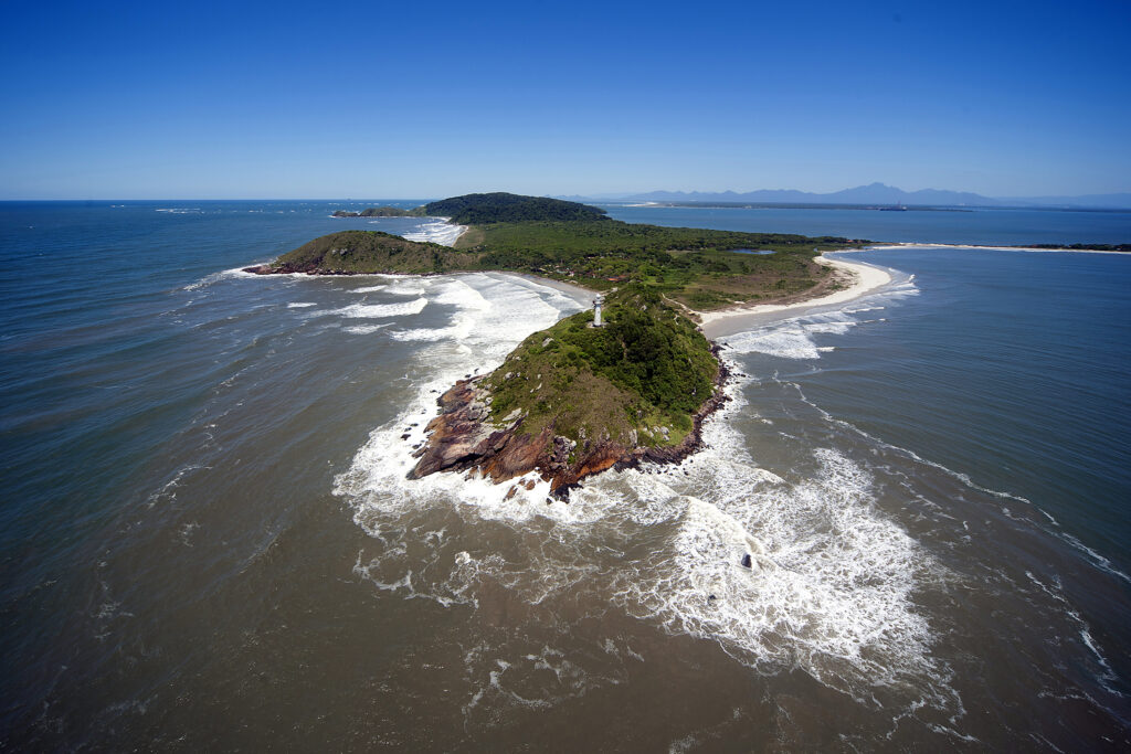 Do Pico Paraná ao Bosque do Papa: descubra os tesouros naturais dos parques estaduais